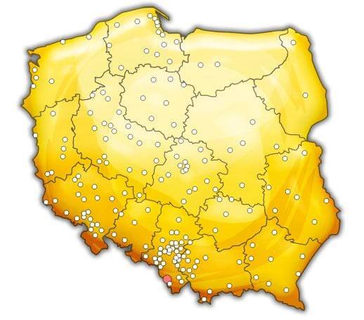 Żółta mapa Polski z ponad 100 białymi kółkami pokazującymi punkty przyjmowania zakładów Fortuny.