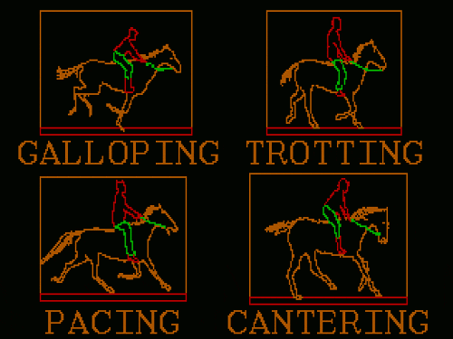 galloping-trotting-pacing-cantering.gif