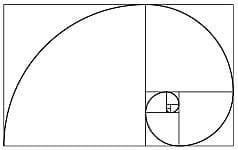 spirala-Fibonacciego.jpg