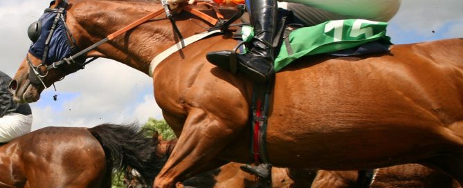 Dżokej na koniu przeskakuje przez chruścianą przeszkodę na tle innych jeźdźców